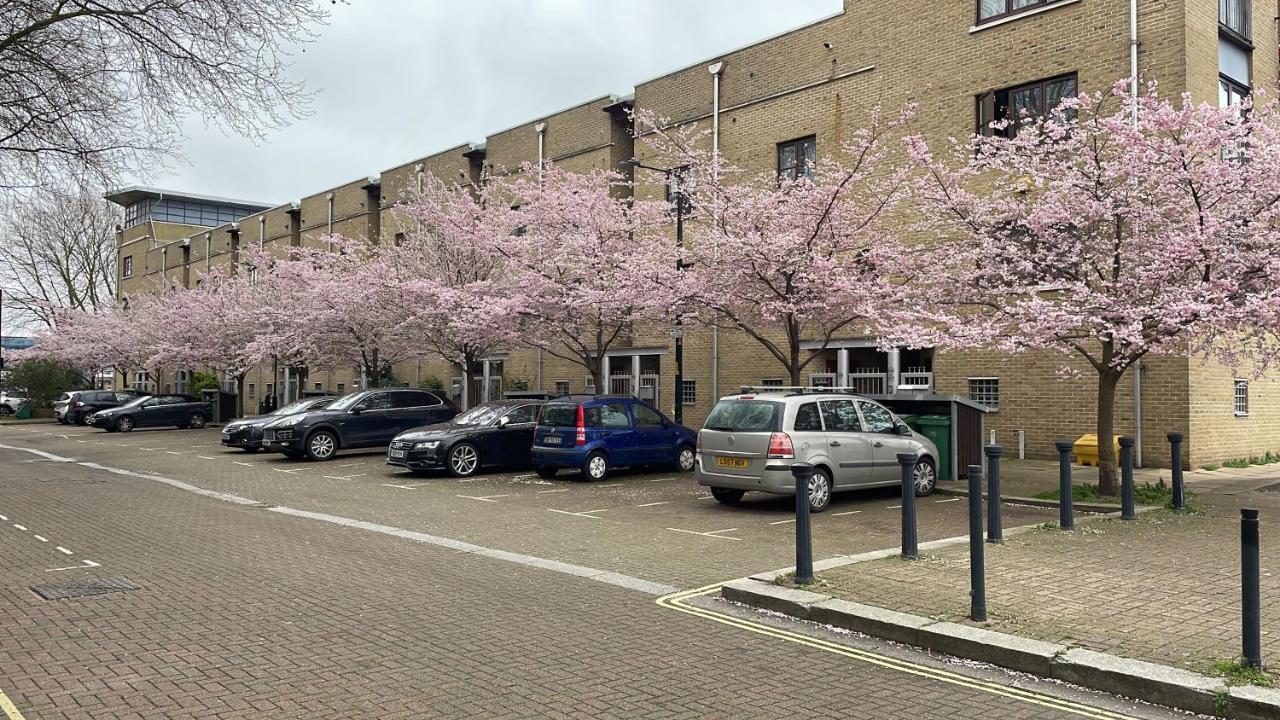 Ferienwohnung Plough Way Flat London Exterior foto